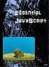 Essential JavaScript